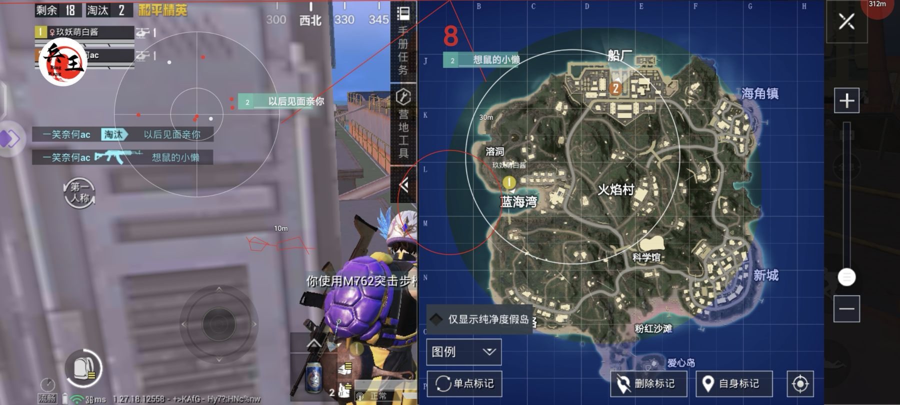 和平精英《向日葵》外挂